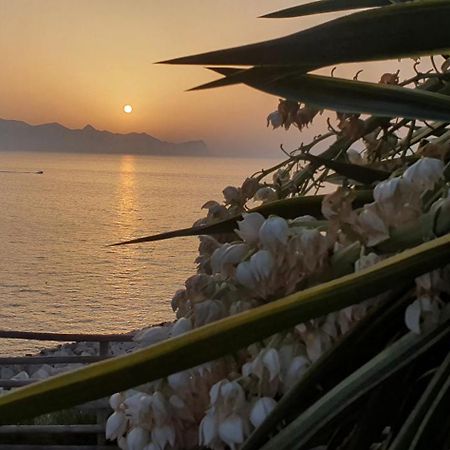 Loft In Balestrate Vicino Al Mare - Rental Beb 외부 사진