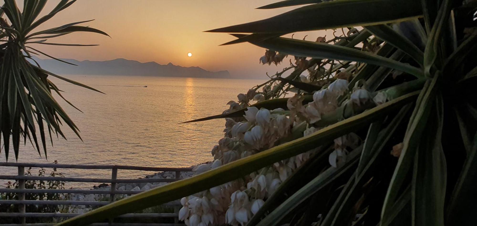 Loft In Balestrate Vicino Al Mare - Rental Beb 외부 사진