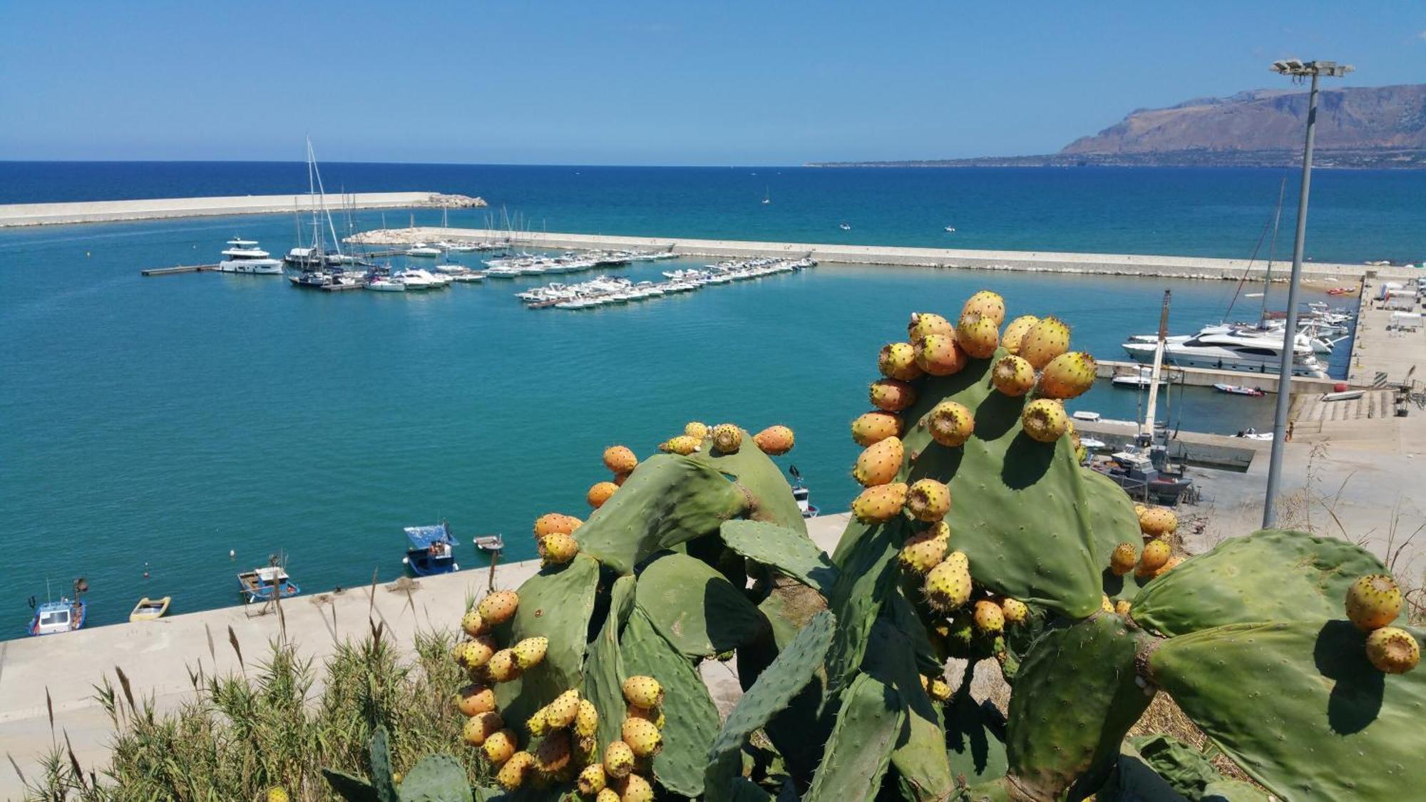 Loft In Balestrate Vicino Al Mare - Rental Beb 외부 사진